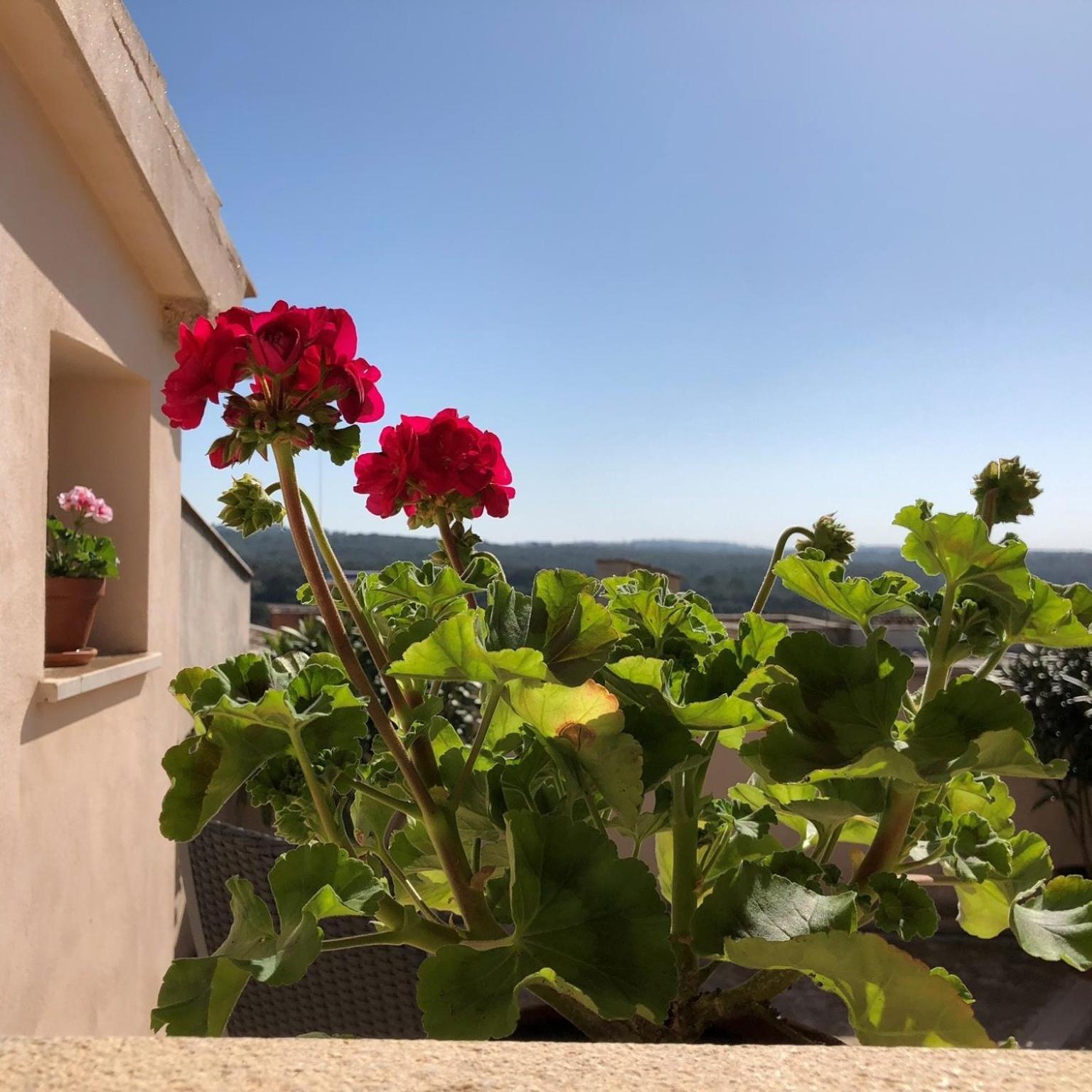 Vista de la Vila - Turismo de interior. Llubí Habitación foto